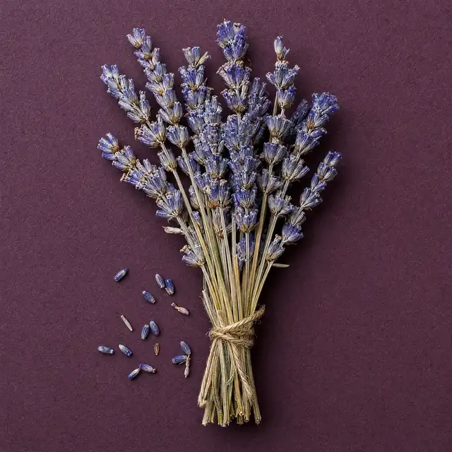 Un ramo de lavanda seca